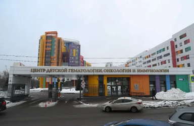 Как настойчивость помогли ребенку попасть в клинику Рогачева